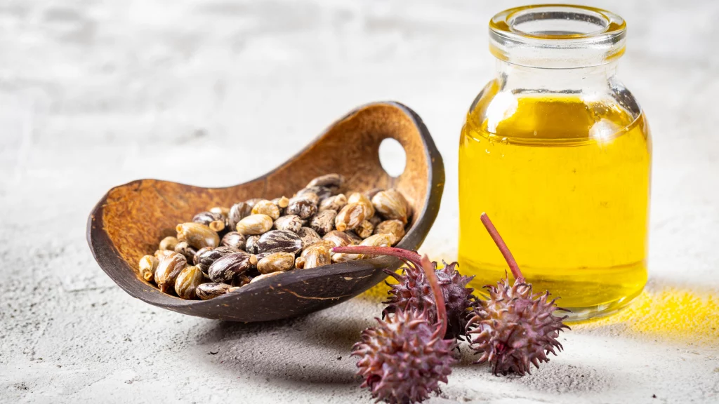 Glass jar of castor oil with castor beans and seed pods, used in cosmetics and industrial applications