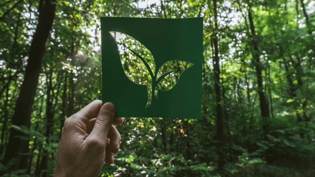 Hand holding a green butterfly paper cutout with forest background, symbolizing sustainability and eco-friendly innovation from SBR International GmbH