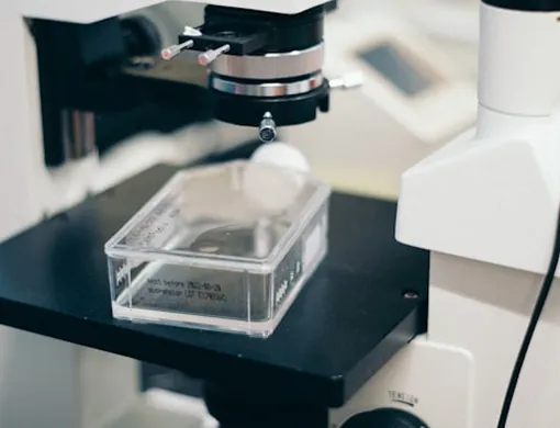 Microscope with a transparent cell culture dish on the stage, symbolizing cell culture, microscopy, and biomedical research