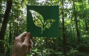 Hand holding a green butterfly paper cutout with forest background, symbolizing sustainability and eco-friendly innovation from SBR International GmbH Apeo-free