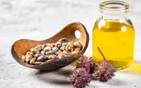 Glass jar of castor oil with castor beans and seed pods, used in cosmetics and industrial applications