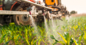 The Importance of Choosing the Right Fertilizer for Your Crops The Importance of Choosing the Right Fertilizer for Your Crops
