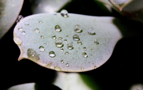 HLB System Explained How Formulators Choose Effective Surfactant Blends
