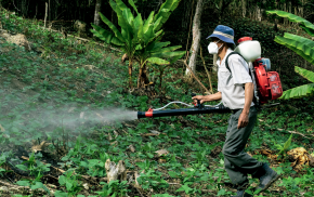 How to Select the Right Surfactant System for Agrochemical Formulations