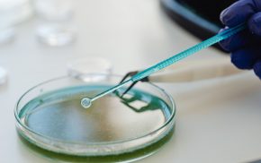 Top Non-Ionic Surfactants for Textile Processing